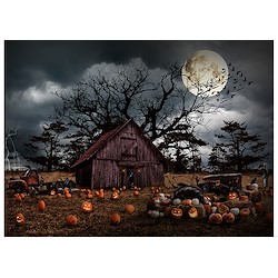 Pumpkin - Haunted Halloween